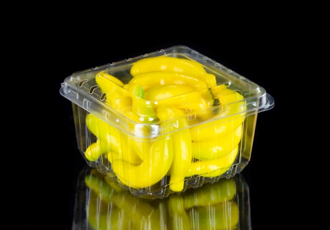 Scatola di imballaggio in plastica a conchiglia per mirtillo