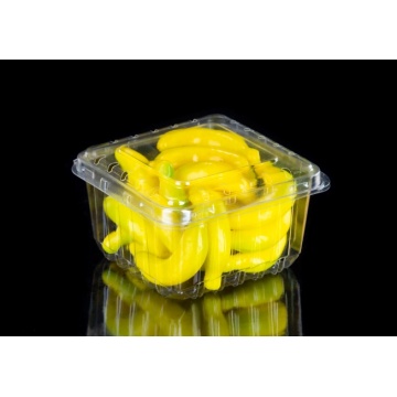 Scatola di imballaggio in plastica a conchiglia per mirtillo