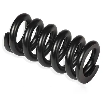 Compression Spring, Suitable for Gym Equipments, Power Tools