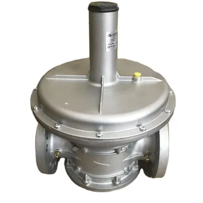 Industrial Gas Pressure Regulator with Built-in Filter Unit: Italy Giuliani FS1B65-DN65 Anello Valve