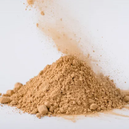 Bulk Torula Yeast Nutritional Food