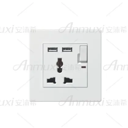 220V USB Wall Socket