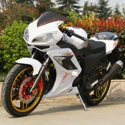 Factory 200cc Adult Cruiser Motorcycles: R2 City Sport Gas Racing Motorcycles