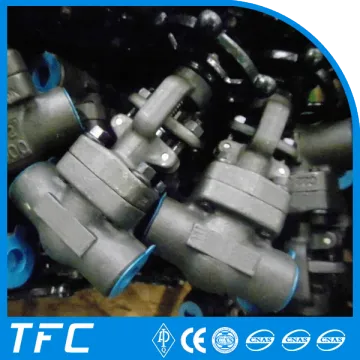 forged steel compact A105 gate valve