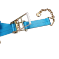 Truck Accessory Ratchet Strap na May Chian End