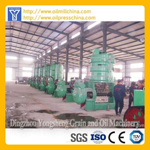 Oil Extruder for Vegetable Oil Production line