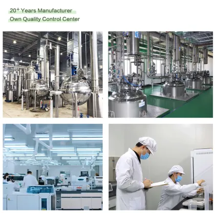 Grape Seed Extract Powder