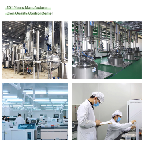 Прах за екстракт семена грожђа