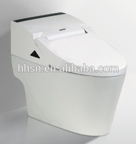 HH6T169R Luxury top rated water saving corner toilet