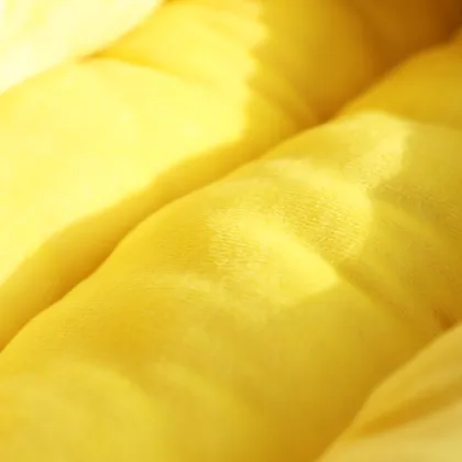 Winter Warm Teddy Corgi Dog Mat Bed