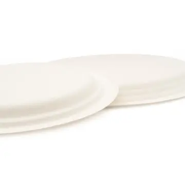 Food Grade Sugarcane Bagasse Disposable White Plates Sugar Cane Bamboo Paper Pulp Bio Compostable Degradable Dish For Party