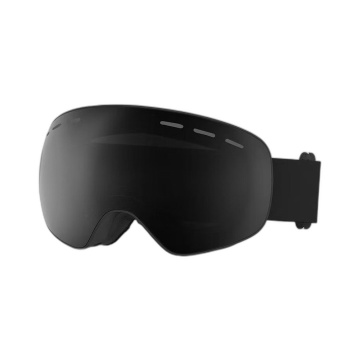 Dual-Layer Anti-Fog Spherical Ski Goggles
