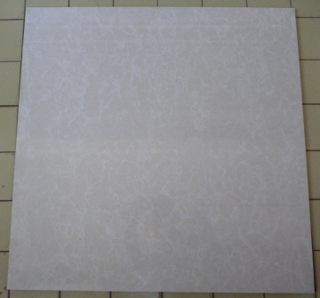 Blatty Porcelain Polished Brick (LF6202)