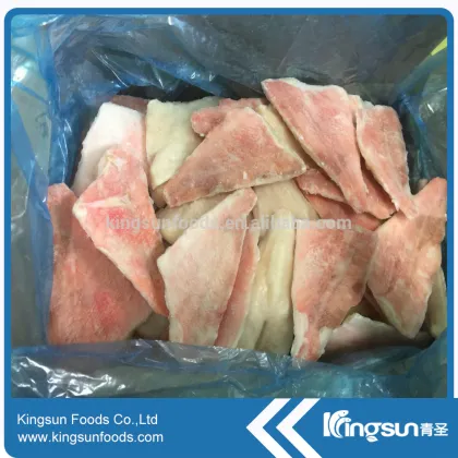 Top Quality Seafood Atlantic Red Fish
