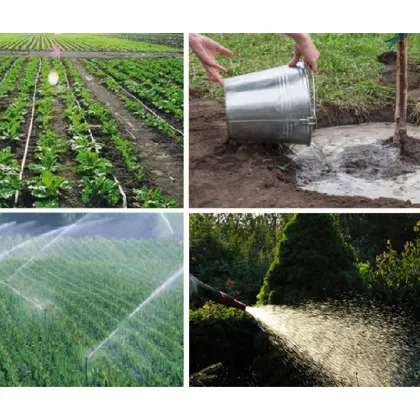 Organic Potassium Fulvic Acid fertilizer for agriculture