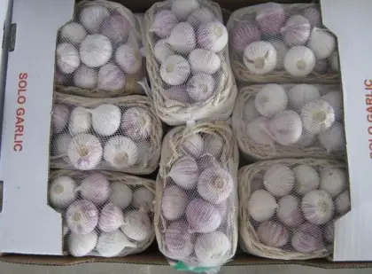 Fresh Yunnan Solo Garlic