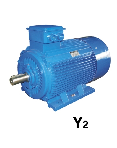 Y2 Series 3-Phase Asynchronous Electric Motor with CE Approval