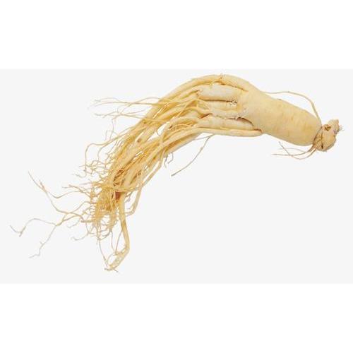 Ginseng Root Extract Powder Ginseng Root Extract Ginsenoside 80%  Rg3 Powder Supplier