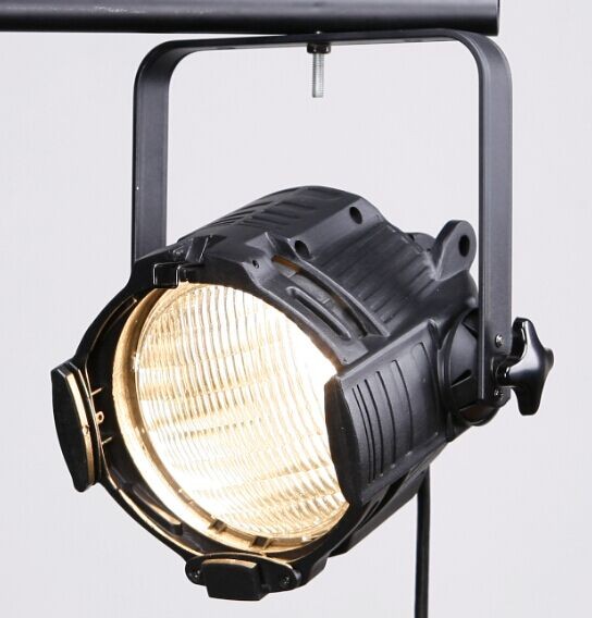 750W Multifunctional PAR Cans Light