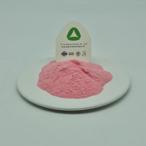 Vegetable Powder Guava Leaf Extract powder 10:1 organic Supplier