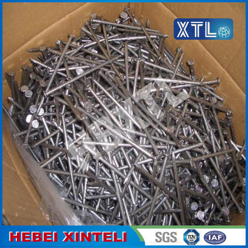 Electric Galvanized Smooth Shank Umbrella Roofing Nails