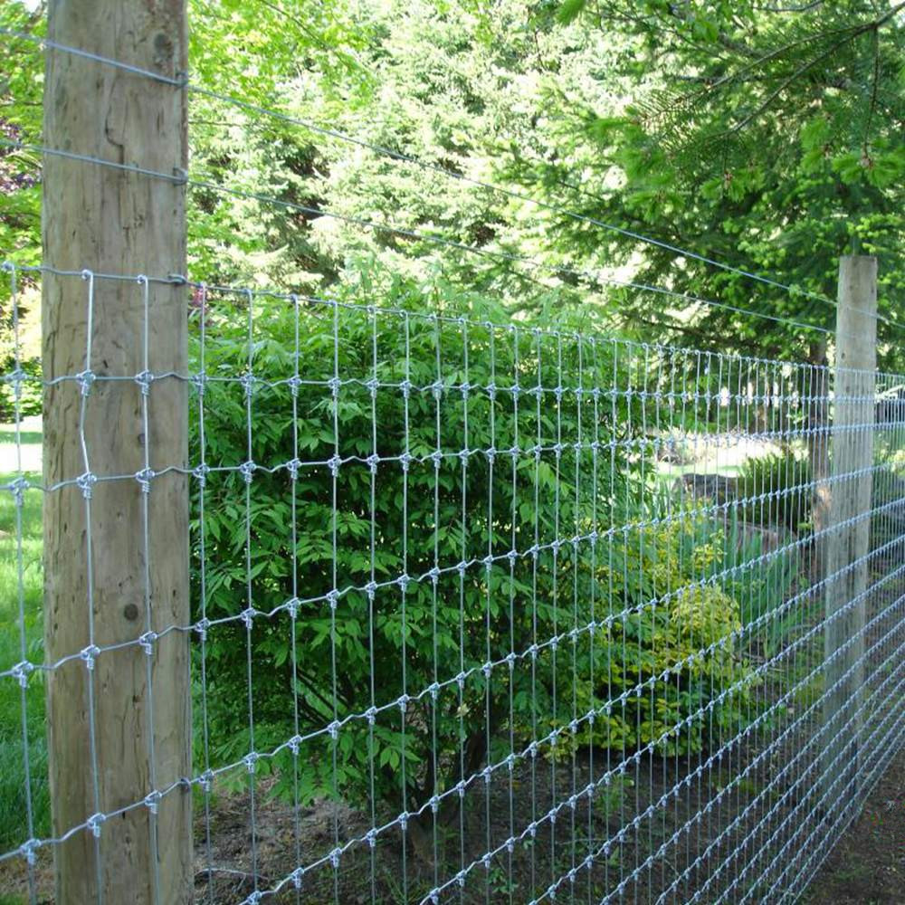 wholesale filed fence fixed knot field fence cattle