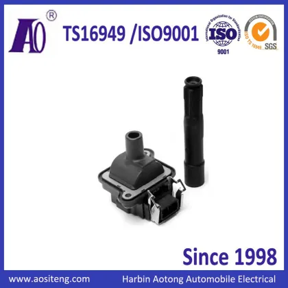 Best auto ignition coil Beru 058905105
