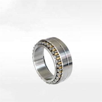 Precision Double Row Bearings 3016 NN NN3018K NN3020K for Machine Tools Spindle
