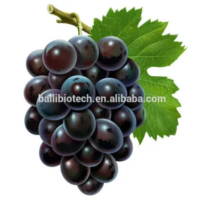 Oil Form and Seed Part Grape Oil IP/BP/USP/Food Grade