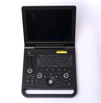 Female polycystic kidney ultrasound diagnostic instrument