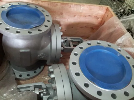 API WCB Globe Valve