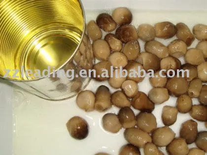 CANNED STRAW MUSHROOM