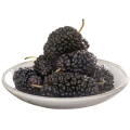 Natural black mulberry extract powder with more benefits