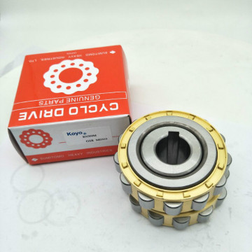 Cylindrical Roller Bearing RN309M Brass Cage Eccentric
