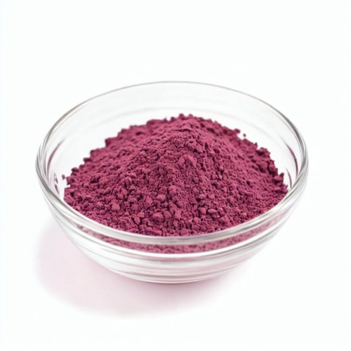 High Quality Blueberry Powder