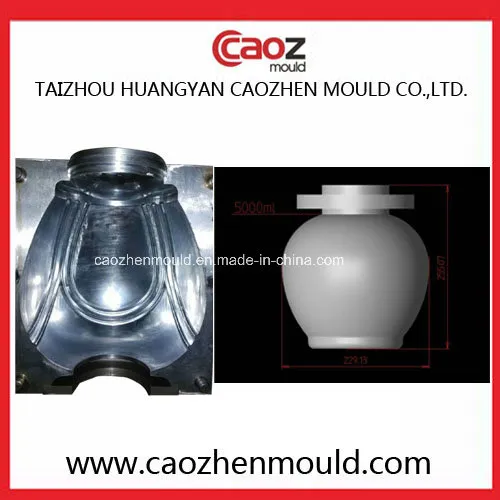 Plastic Sugar Bottle Blowing Mould in China