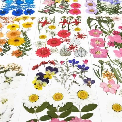 Natural Real Flower Makeup: Cheap Dried Flower Combinations for Embossing and Decoration