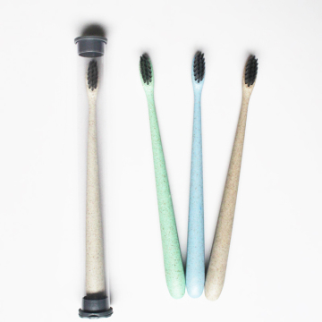 Toothbrush Capable Of Degrade Wheat Straw