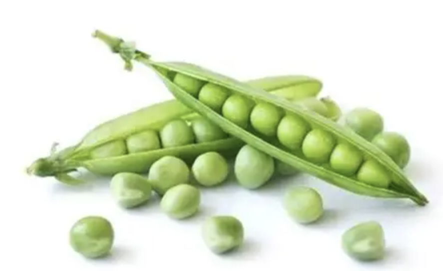 Natural Almond Protein Powder