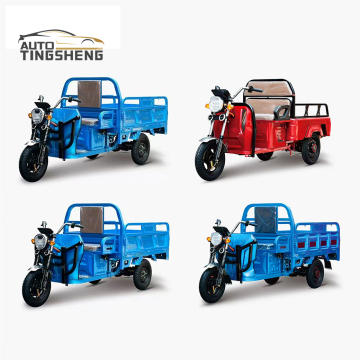 2024 New 850W Electric Cargo Bike - 60V 1000W Electric Tricycle