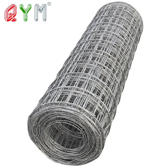 Bird Cage Galvanized Welded Wire Mesh Rolls for Construction