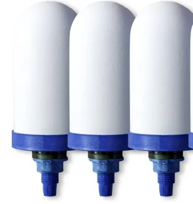 Replacement Water Purifier Ceramic Filter Element