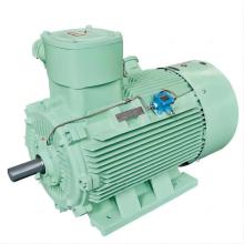 YFB5 Dust Explosion-proof Three-Phase Asynchronous Motor