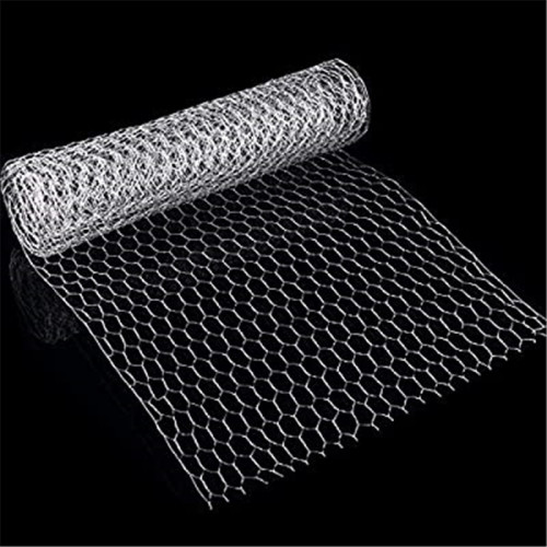 Galvanized Hexagonal Wire Netting Chicken Wire Mesh