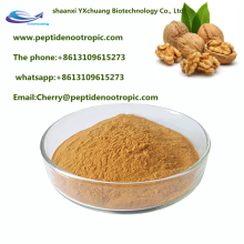 Pure natural walnut seed extract walnut kernel extract