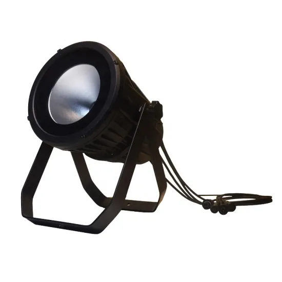 OEM Dimmer DMX Control 200W CW WW IP65 White LED PAR Light - Wholesale Price