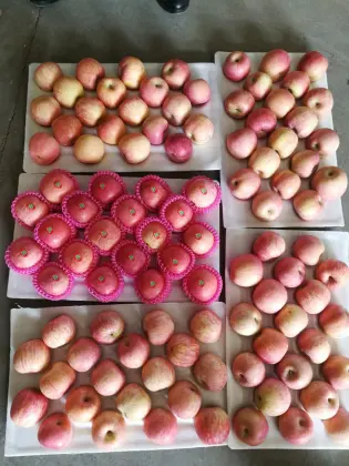 Yantai Fresh Fuji Apple