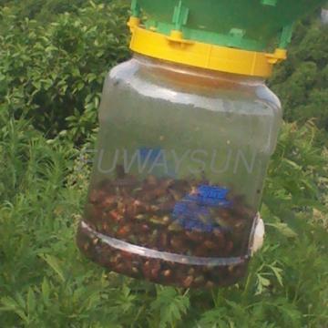 Intelligent Cyclonic Solar Insect Killer