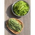 Catering için 2,5 kg toplu gongcai