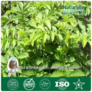 Agrimony Extract Powder